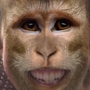 Meet your Posher, Dan